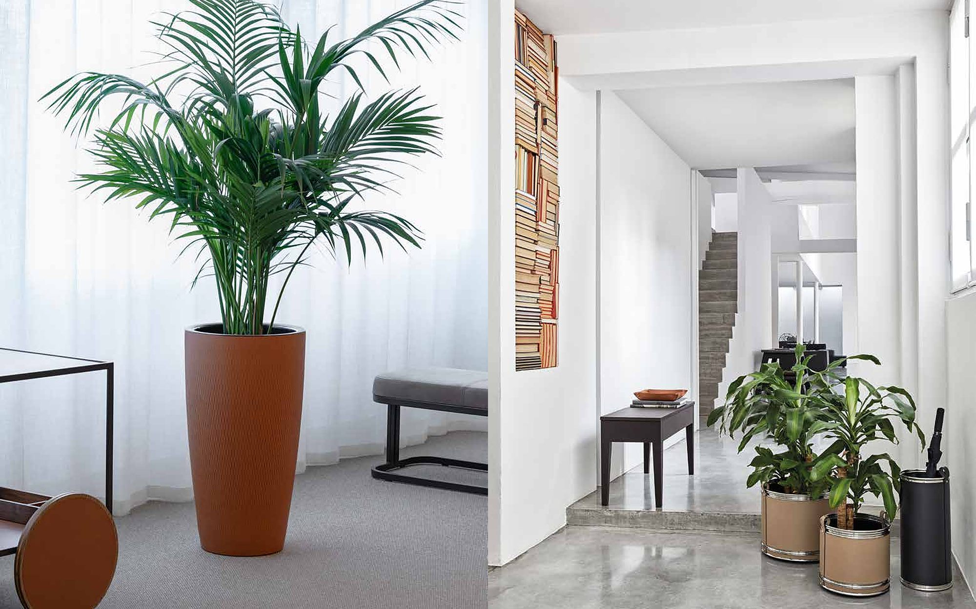 Pinetti Collection 2024 leather planter and umbrella stand in an entrance Pinetti Collection 2024 leather planter and umbrella stand in an entrance – Italian luxury leather accessories